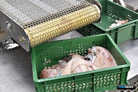 Обсудить вопросы заводов под инвестквоты считают важным в ВАРПЭ