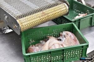 Обсудить вопросы заводов под инвестквоты считают важным в ВАРПЭ