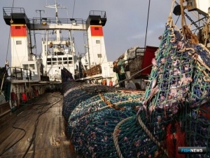 Российский вылов минтая в 2023 году стал рекордным