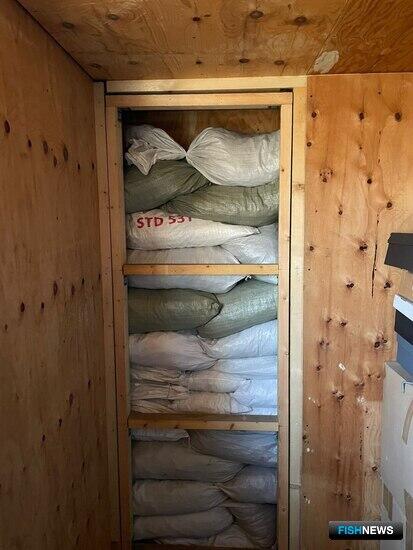 Таможенники обнаружили схему по масштабной контрабанде трепанга