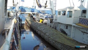 Рыбалка в ЮВТО отличилась сроками