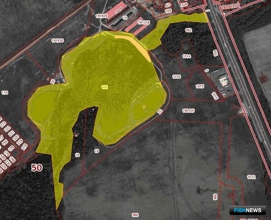 В ЦФО пройдут аукционы для аквафермеров В ЦФО пройдут аукционы для аквафермеров