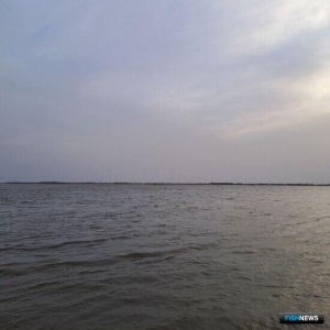 Власти Хабаровского края предложили дозировать нагрузку на рыбопромышленников