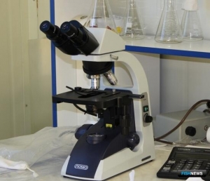 Наука оценит влияние климата на рыб Западной Сибири