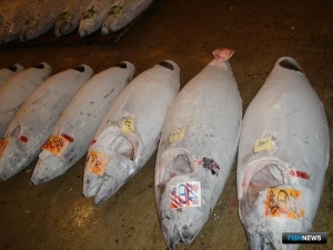 Сбросы с &laquo;Фукусимы-1&raquo; сказались на экспорте японских продуктов