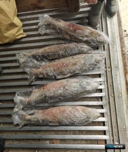 Крупную партию кеты не пустили в Китай