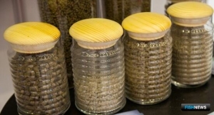 Выпуск российских рыбных кормов пошел в рост