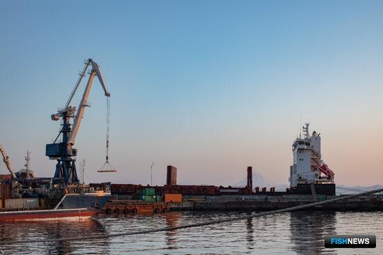 «Сероглазка» на Камчатке позволяет переваливать до 300 тыс. тонн рыбы «Сероглазка» на Камчатке позволяет переваливать до 300 тыс. тонн рыбы