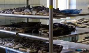 Сырье из &laquo;ниоткуда&raquo; станет сигналом для ветконтроля