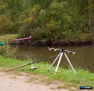 Поморье облегчит рыболовам оформление путевок