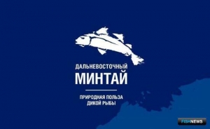 Дальневосточный минтай набирает популярность: АДМ подвела первые итоги программы продвижения
