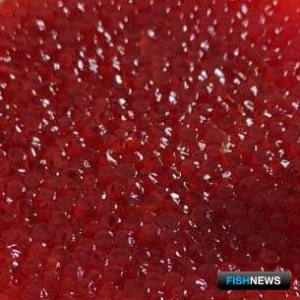 Немаркированная икра довела до &laquo;уголовки&raquo;