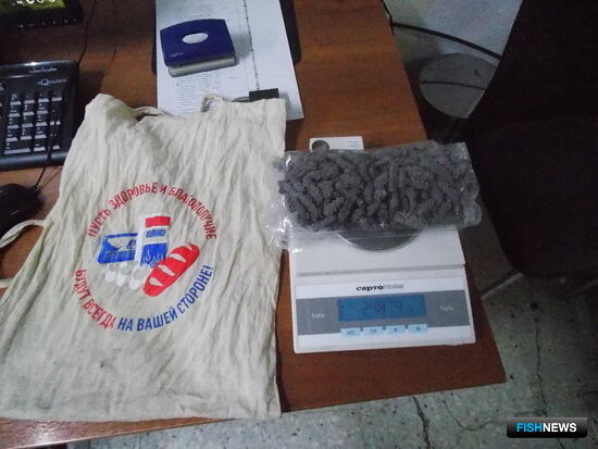 Таможня не пропустила трепанг в Поднебесную