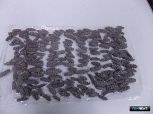 Таможня не пропустила трепанг в Поднебесную