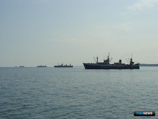 Минфин отметил вклад квотных аукционов в пополнение бюджета Минфин отметил вклад квотных аукционов в пополнение бюджета