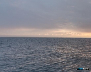 Для недобросовестных участников аукционов в отрасли готовят учет