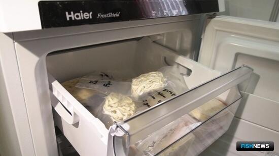 Из минтая сделали уникальную лапшу Из минтая сделали уникальную лапшу