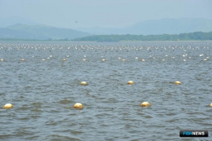 Методику оценки ущерба агропрому от ЧС планируют обновить Методику оценки ущерба агропрому от ЧС планируют обновить