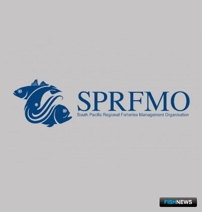 Профильная комиссия определила принципы работы в ЮТО