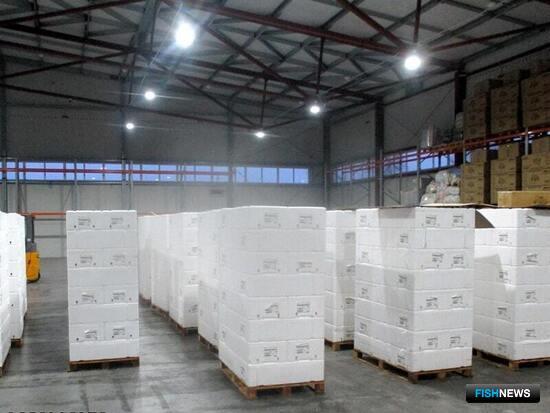 Сомнительного норвежского лосося не пустили в Россию