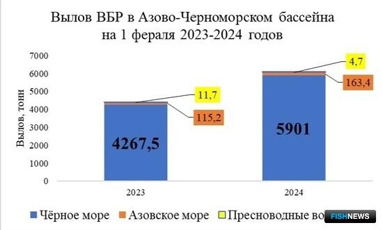 Новый район промысла хамсы помог нарастить вылов