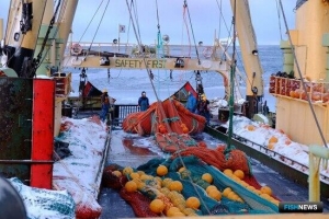ВНИРО рассказал о главных экспедициях первой «пятилетки» после объединения ВНИРО рассказал о главных экспедициях первой «пятилетки» после объединения