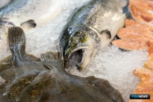 Российская рыба хорошо ловилась, перерабатывалась и продавалась Российская рыба хорошо ловилась, перерабатывалась и продавалась