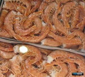 США стали закупать меньше креветки США стали закупать меньше креветки