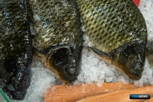 Рыбопромышленников Дагестана приглашают заявляться за субсидиями Рыбопромышленников Дагестана приглашают заявляться за субсидиями