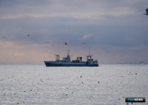 Минтай и сельдь тянут уловы вверх