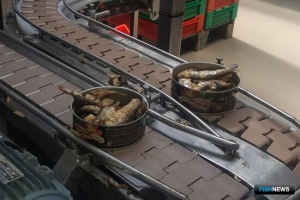 Калининградским консервам дали квоту на беспошлинный вывоз