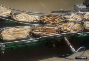 Рыбный союз: Решение по тарифным квотам поможет консервщикам сохранить производство