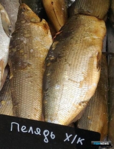 Пелядь в озерах Якутии перевели в &laquo;неодуемые&raquo;