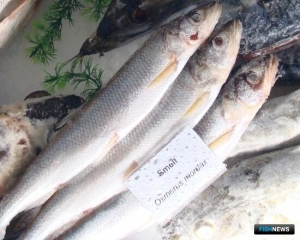 Для КМНС Чукотки определили объемы корюшки и гольца