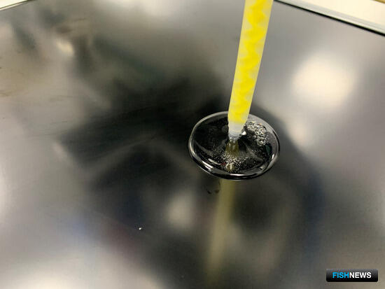 Мониторы на дорогостоящем оборудовании сбережет бондинг