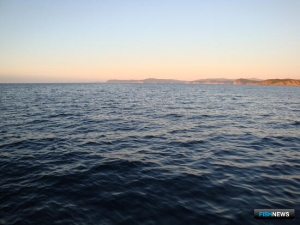 За незаконный вылов кеты приморец лишился лодки