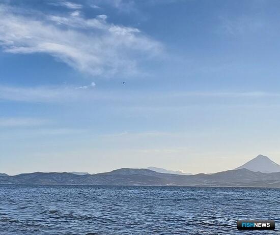 На Камчатке золотодобытчику не дали вести бизнес в обход отказа На Камчатке золотодобытчику не дали вести бизнес в обход отказа