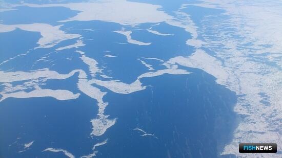 Ситуация с арестованными судами требует внимания Ситуация с арестованными судами требует внимания