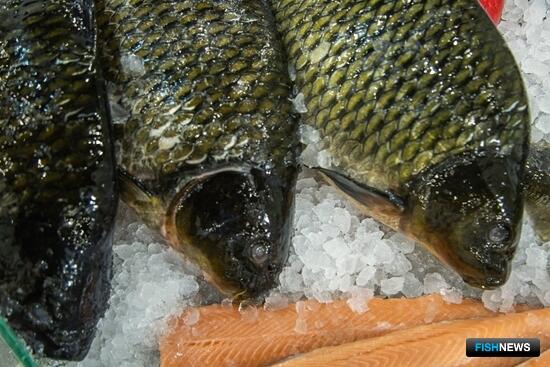 Об изменениях в сфере льготных кредитов для АПК рассказали банковские эксперты