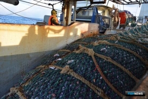 Налоговая опубликовала разъяснения для рыбаков