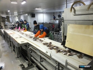 Требования к возрасту оборудования для судов и заводов под инвестквоты скорректировали