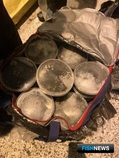 Вину торговцев осетриной определит суд Вину торговцев осетриной определит суд