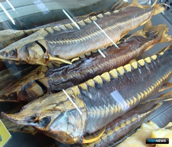 Томским рыбакам подняли объемы