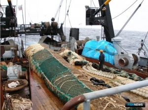 Рыбаки завершили зиму в плюсе