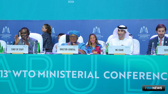 СМИ: &laquo;Рыбному&raquo; консенсусу ВТО помешали Индия и островные государства