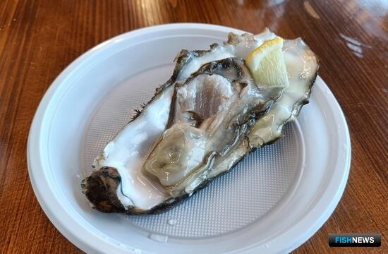 Устрица для россиян: производство морепродуктов с 2018 года выросло в пять раз