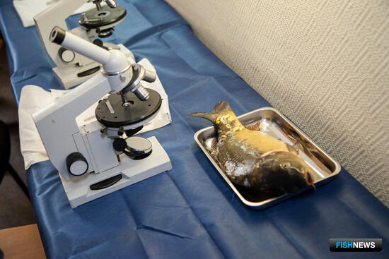 ЦУРЭН &mdash; в стадии ликвидации