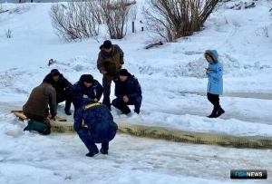 Поморская кумжа получила свежее пополнение