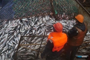 Россия выловила первый миллион тонн в этом году