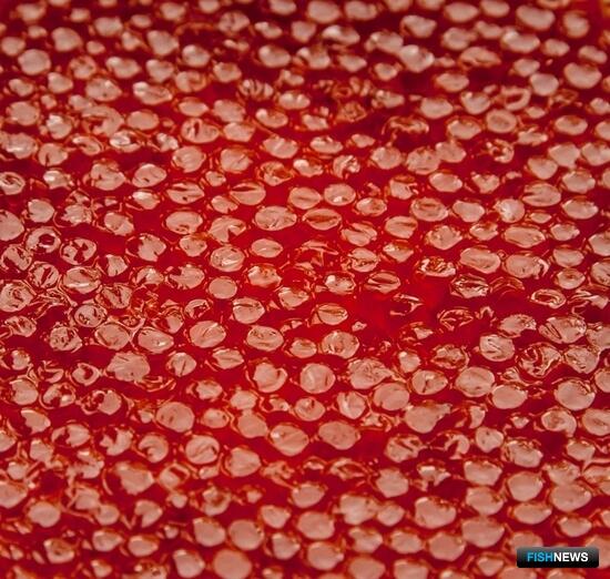 Производителям икры в Приморье расскажут о специфике цифровой маркировки